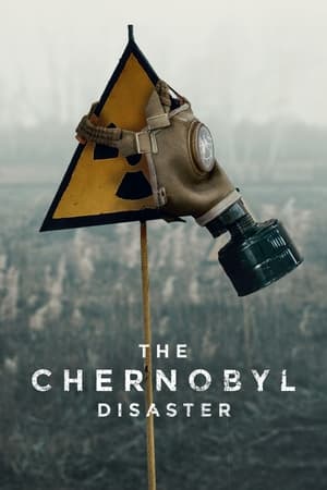 Image The Chernobyl Disaster