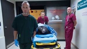 The Night Shift: 1×3