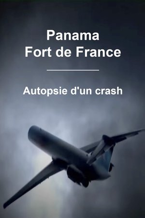 Image Panama - Fort de France : Autopsie d'un crash
