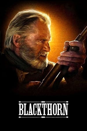 Poster Blackthorn 2011