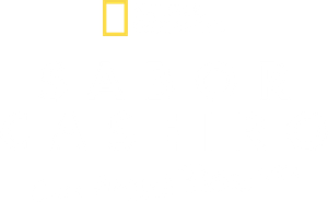 Sabor Caseiro com Antoni Porowski — Logos 6