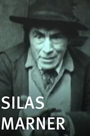 Silas Marner poster