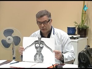 Épisode 80
