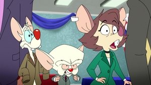 Animaniacs (2020) Temporada 1 Capitulo 8