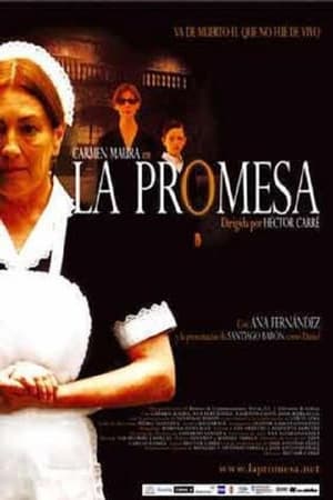 Poster La promesa (2004)