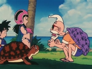 Dragon Ball Season 1 Episode 8