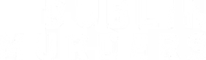 Dublin Murders