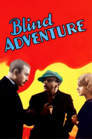 Blind Adventure poster