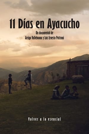 Poster 11 Días en Ayacucho (2024)