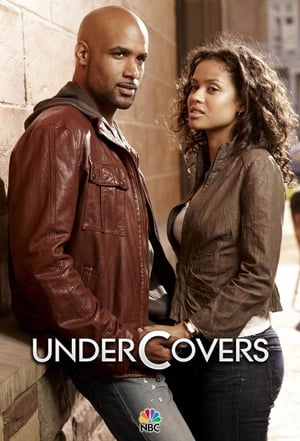 Undercovers (2010)