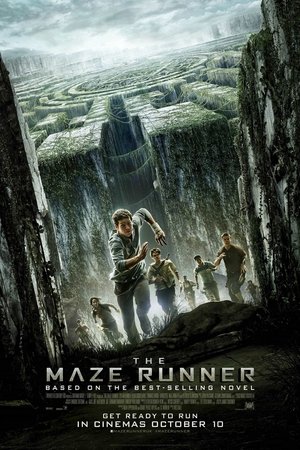 poster The Maze Runner