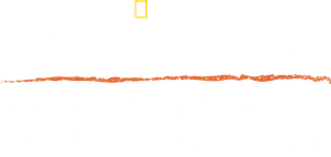 Counting Tigers — Logos 1