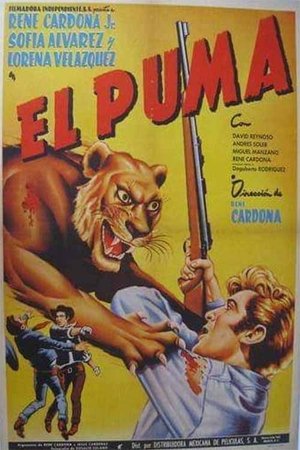 Image El puma