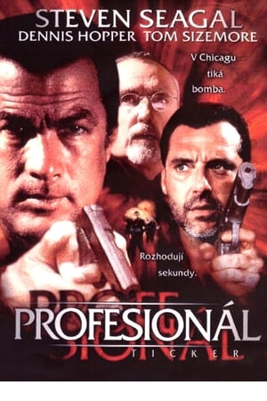 Poster Profesionál 2001