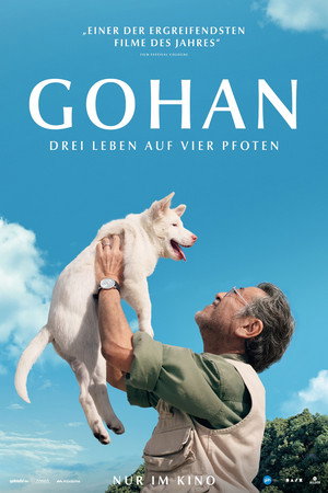 Gohan 61