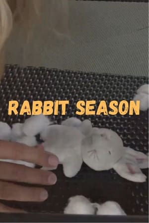 Poster Rabbit Season 2024