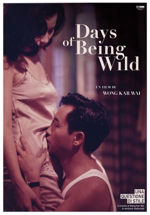 Poster Days of Being Wild 1990