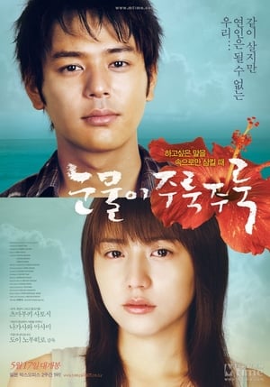 Poster 눈물이 주룩주룩 2006