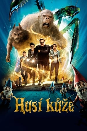 Poster Husí kůže 2015