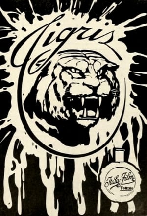 Tigris poster