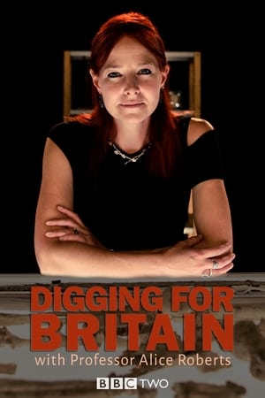 Digging for Britain poster