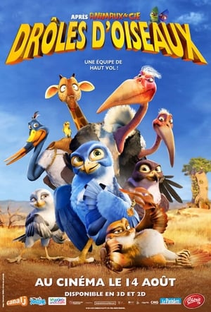 Poster Drôles d'oiseaux 2012