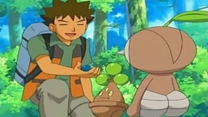 Pokémon Season 10 Episode 14