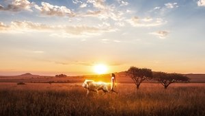 Mia e il leone bianco