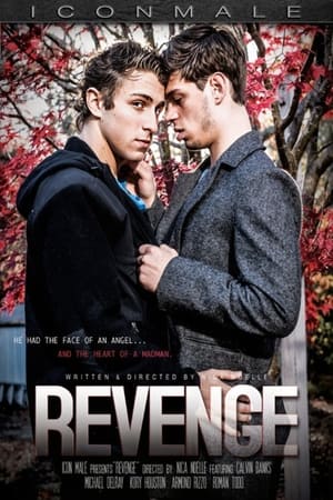 Poster Revenge (2017)