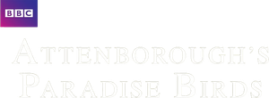 Attenborough's Paradise Birds