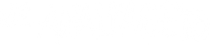 El analfabeto