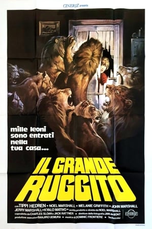 Poster di Il grande ruggito