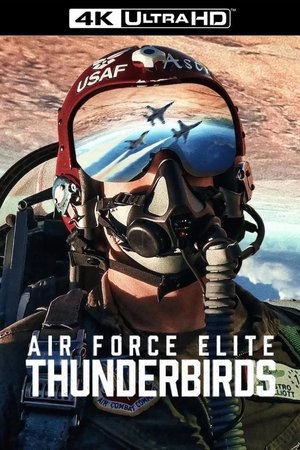 poster Air Force Elite: Thunderbirds