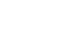 365 Days
