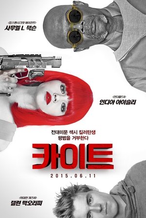 Poster 카이트 2014