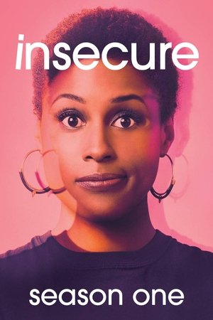 Insecure: Seizoen 1