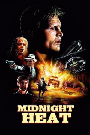 Poster Midnight Heat - Eine mörderische Intrige 1996