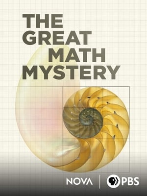 Poster NOVA: The Great Math Mystery (2015)