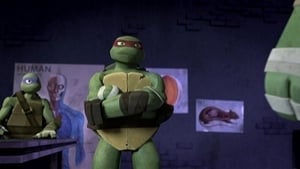 Teenage Mutant Ninja Turtles: 1×14