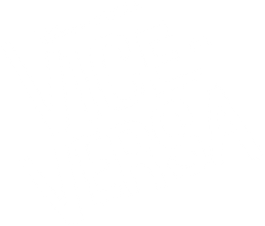 Vice-versa — logo