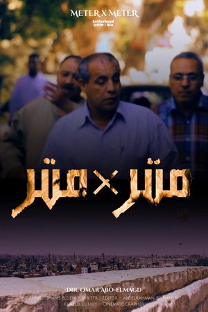 METER × METER (2016)