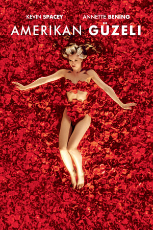 American Beauty