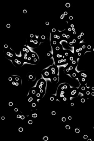 Notes from the subsurface