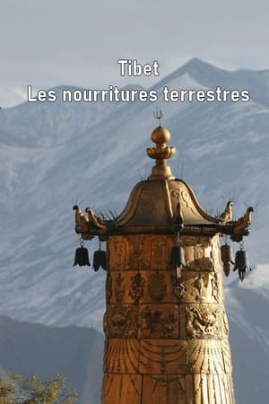 Poster Tibet - Les nourritures terrestres 2011