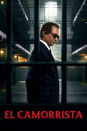 Il camorrista - Una serie di Giuseppe Tornatore