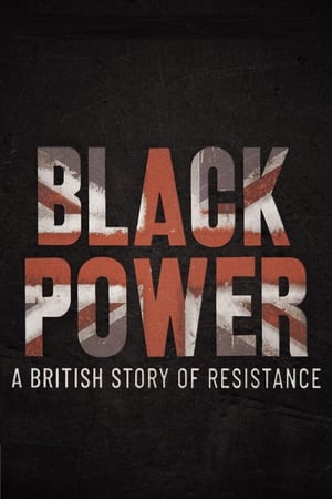 Poster Black Power de Steve McQueen 2021
