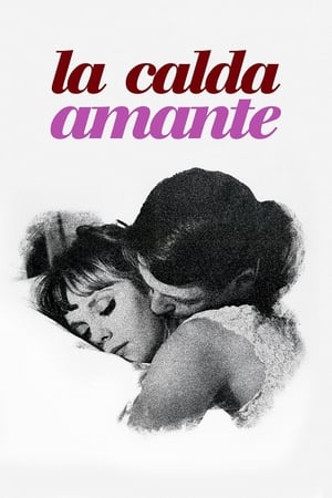 Poster La calda amante 1964