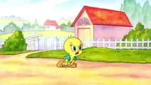 Baby Looney Tunes The Littlest Tweety