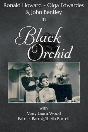 Poster Black Orchid 1953