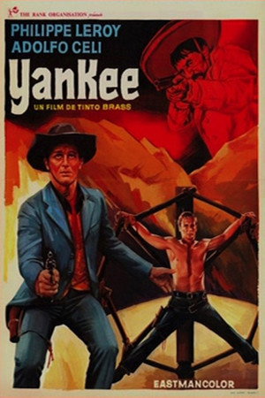 Yankee 13